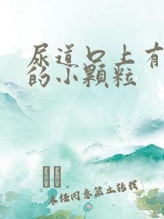 尿道口上有白色的小颗粒