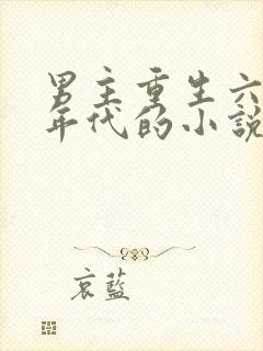 男主重生六七十年代的小说