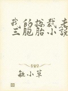 我的总裁老婆是三胞胎小说