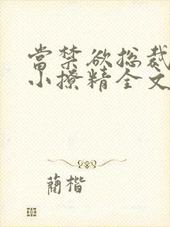 当禁欲总裁遇上小撩精全文免费阅读