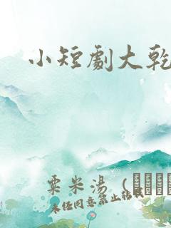 小短剧大乾憨婿
