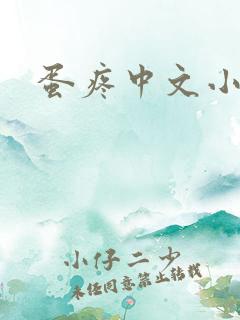 蛋疼中文小说网