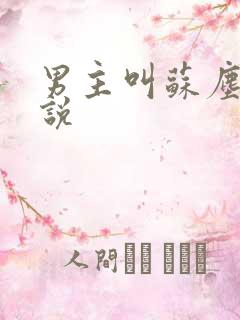 男主叫苏尘的小说