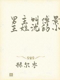 男主叫傅景琛女主姓沈的小说