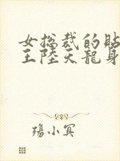 女总裁的贴身兵王陆天龙身份