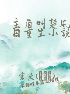 主角叫楚风的末日重生小说