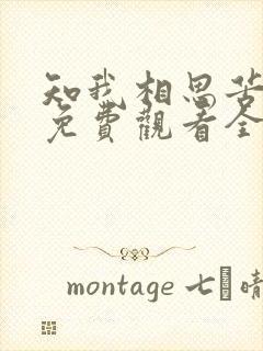 知我相思苦短剧免费观看全集高清