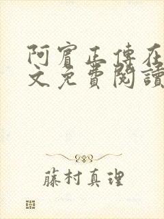 阿宾正传在线全文免费阅读无删减