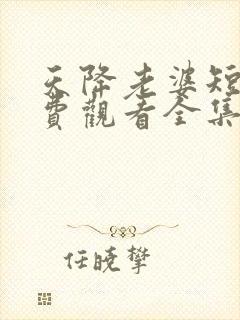 天降老婆短剧免费观看全集高清