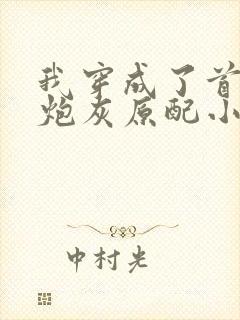 我穿成了首辅的炮灰原配小说