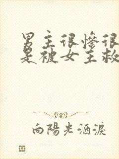 男主很惨很惨但是被女主救赎古言