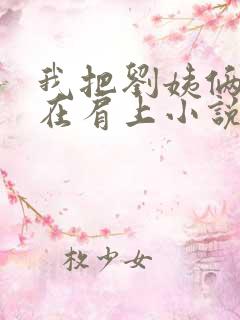 我把刘姨俩腿扛在肩上小说免费阅读