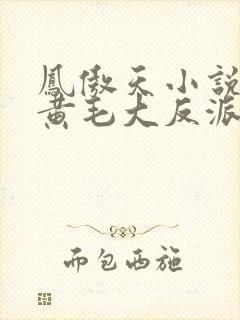 凤傲天小说里的黄毛大反派也想要幸福有声书