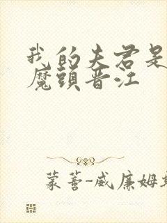 我的夫君是灭世魔头晋江