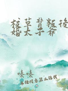 校草背叛后我闪婚太子爷