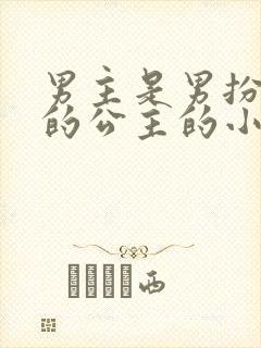 男主是男扮女装的公主的小说