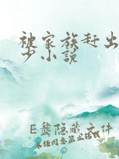 被家族赶出的弃少小说