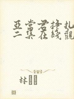 亚当君挣扎吧第二集在线观看