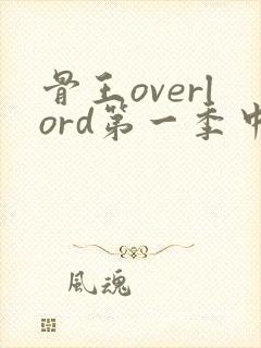 骨王overlord第一季中文版