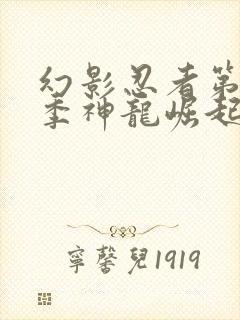 幻影忍者第20季神龙崛起免费观看