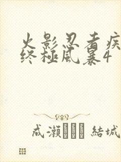 火影忍者疾风传终极风暴4