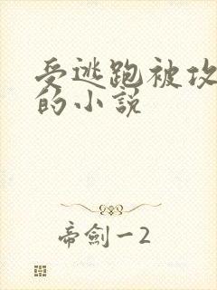 受逃跑被攻抓回的小说