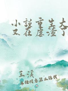 小说重生大小姐又在虐渣了