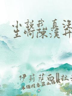 小说我真没想重生啊陈汉升阅读