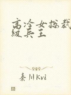 高冷女总裁的超级兵王