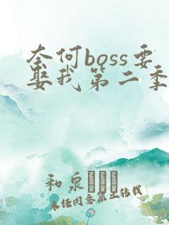 奈何boss要娶我第二季全集免费观看