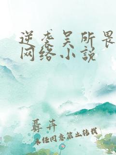 逆袭吴所畏池骋网络小说