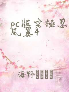 pc版究极忍者风暴4