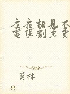 夜夜相见不识君电视剧免费