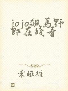 jojo飙马野郎在线看