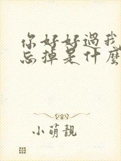 你好好过我慢慢忘掉是什么歌