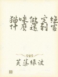 猫咪做完绝育为什么还到处乱尿