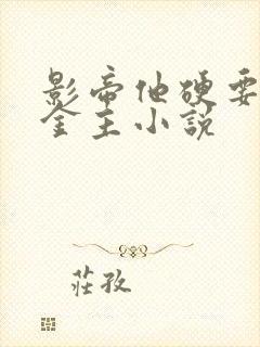 影帝他硬要我当金主小说