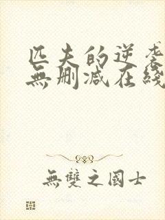 匹夫的逆袭小说无删减在线阅读