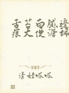 舌苔白腻边有齿痕大便溏稀