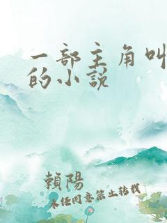 一部主角叫秦叶的小说