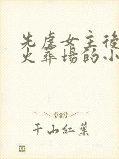 先虐女主后追妻火葬场的小说古言