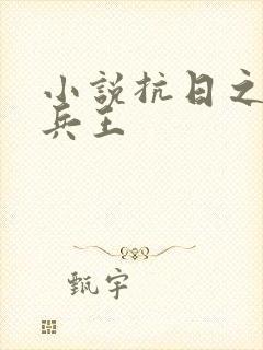 小说抗日之特战兵王