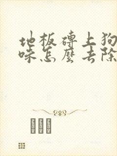 地板砖上狗尿骚味怎么去除