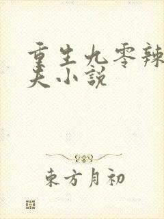 重生九零辣妻追夫小说