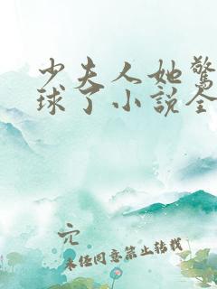 少夫人她惊艳全球了小说全文在线阅读