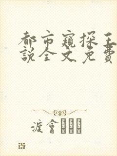 都市窥探王飞小说全文免费阅读无弹窗