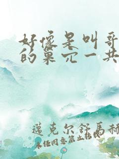 好像是叫哥布林的巢穴一共四集