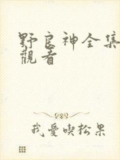 野良神全集免费观看