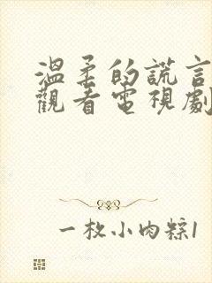 温柔的谎言免费观看电视剧全集