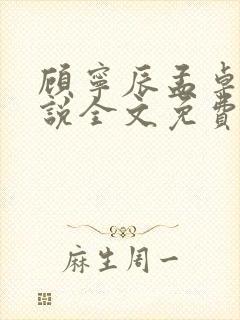 顾宁辰孟卓钰小说全文免费阅读